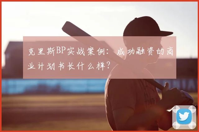 克里斯BP实战案例：成功融资的商业计划书长什么样？