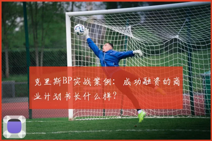 克里斯BP实战案例：成功融资的商业计划书长什么样？